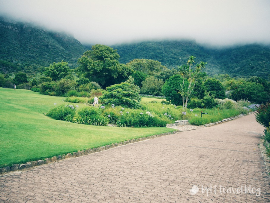 Kirstenbosch Botanical Gardens, Cape Town.