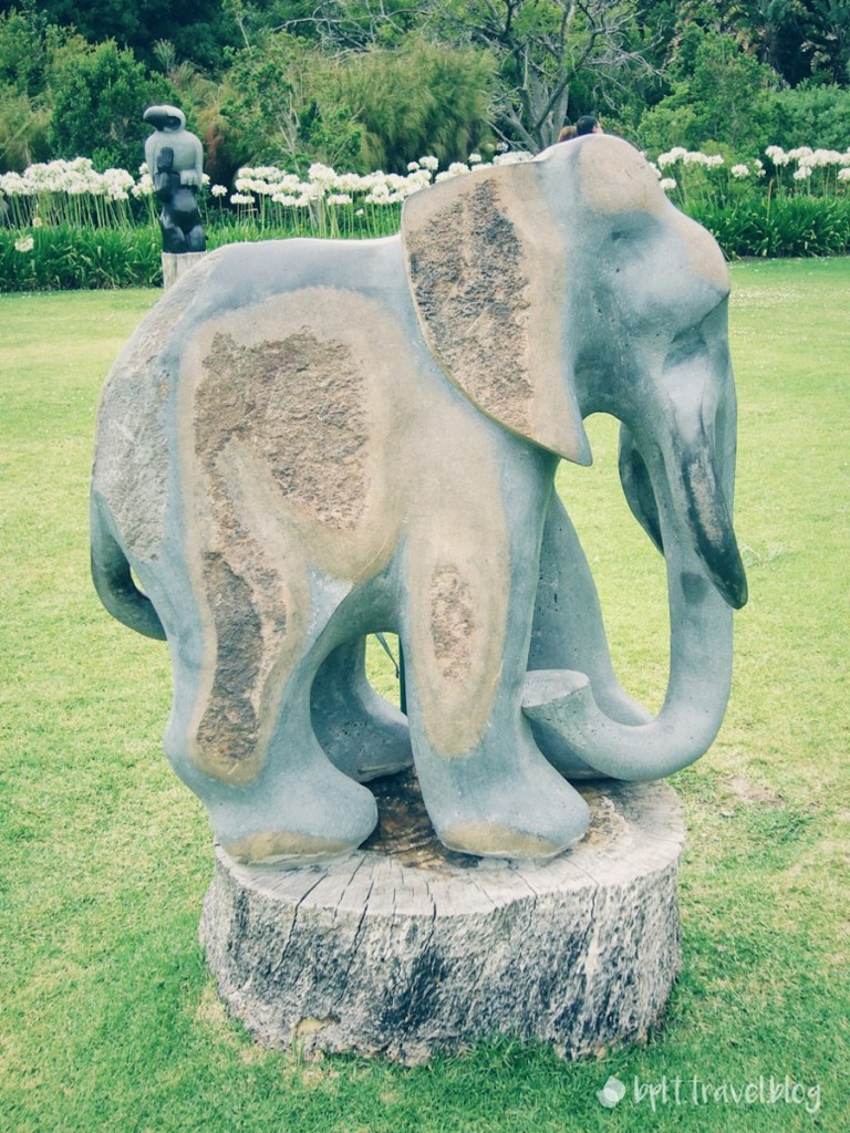 Kirstenbosch Botanical Gardens, Cape Town.