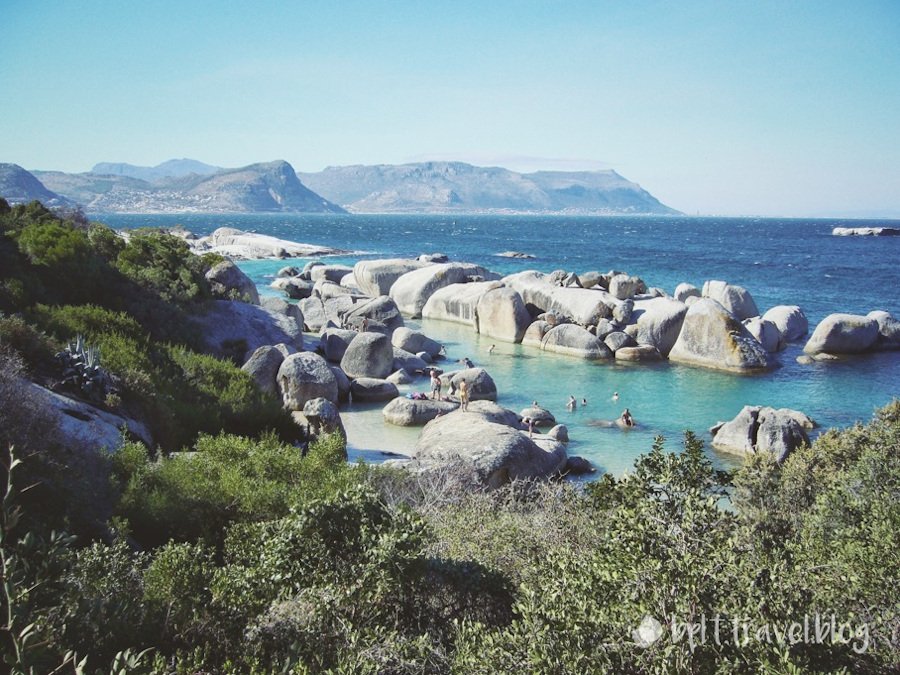 Boulders Beach, Cape Peninsula.