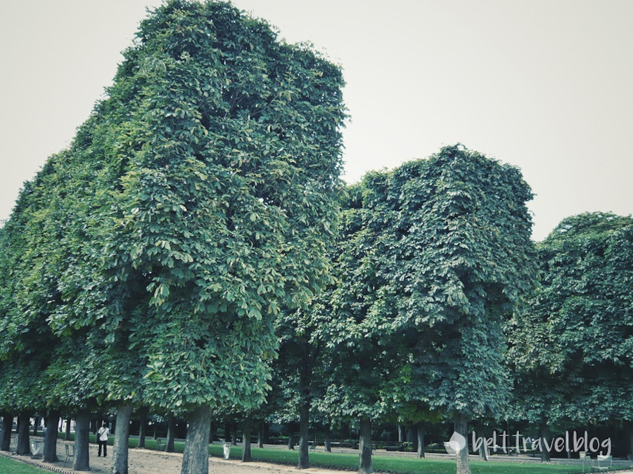 Luxembourg Gardens, Paris.