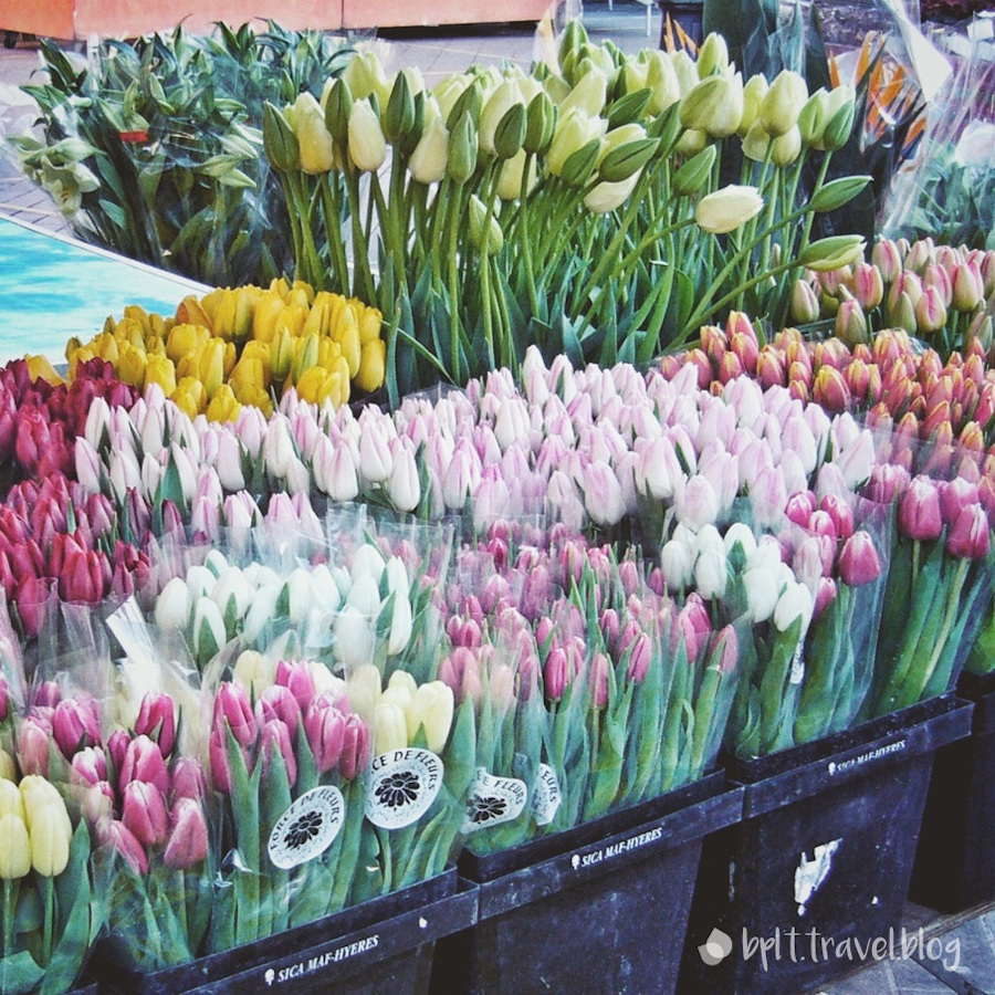 Flowers at the Cours Saleya, Nice.