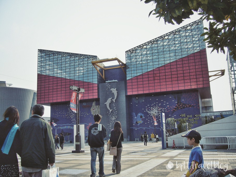 The Osaka Aquarium Kaiyukan in Japan.